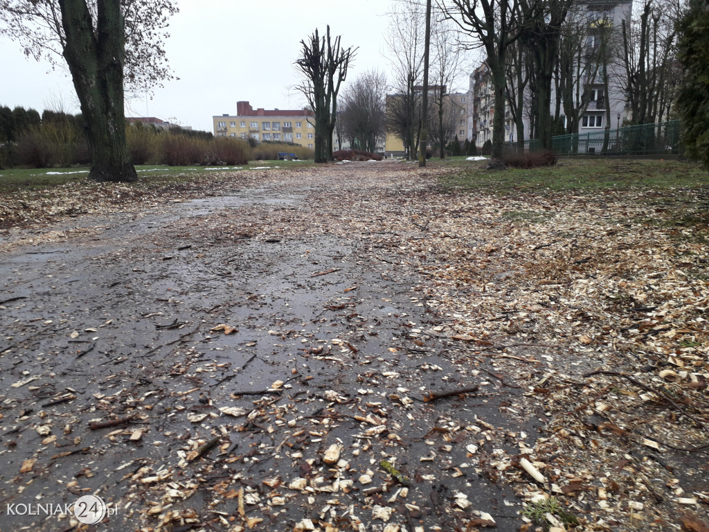 Mieszkańcy czekają na uprzątnięcie alejki