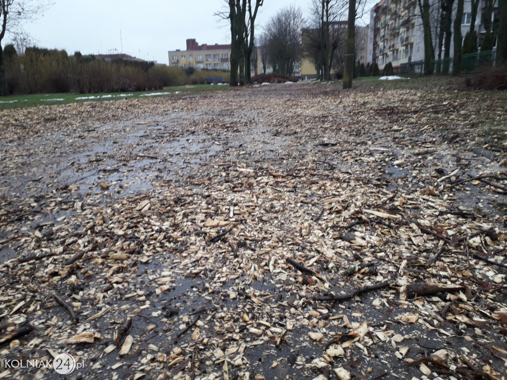Mieszkańcy czekają na uprzątnięcie alejki