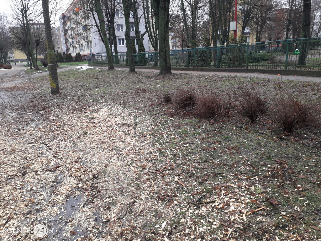 Mieszkańcy czekają na uprzątnięcie alejki