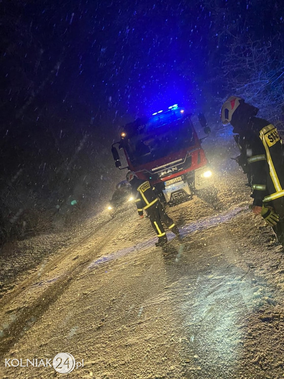 Powalone drzewa na drodze krajowej