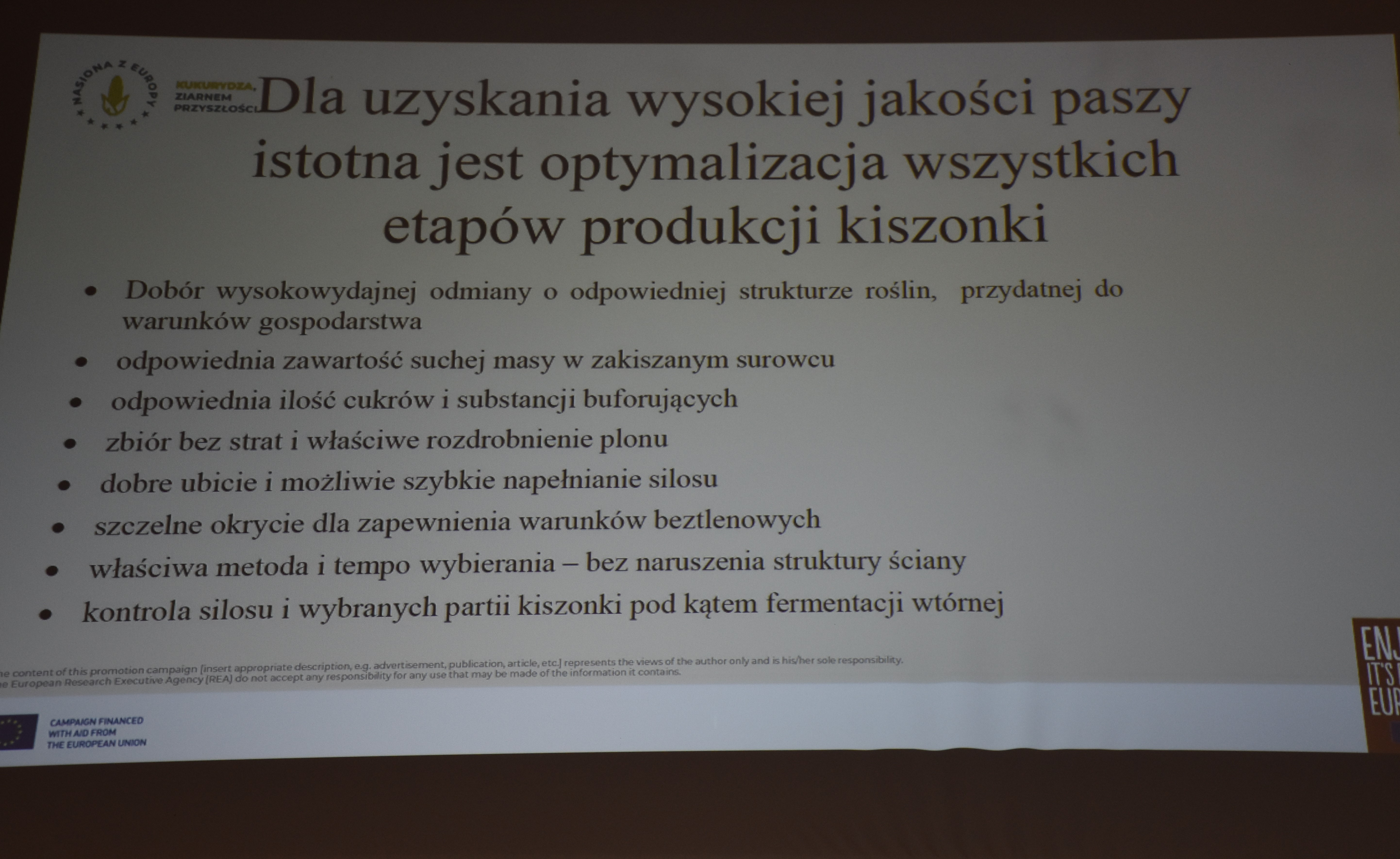 Jak osiągnąć sukces w uprawie kukurydzy kiszonkowej?