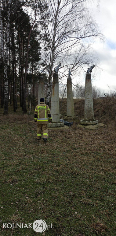 Poszukiwania mieszkańca Kolna