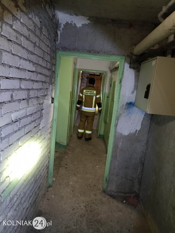 Poszukiwania mieszkańca Kolna
