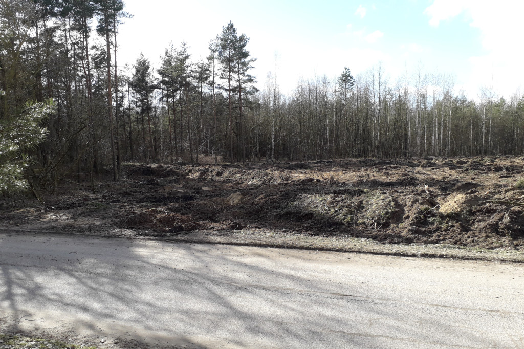 Kolneńskie Wieszałki