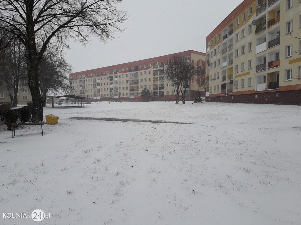 W Kolnie sypie śnieg