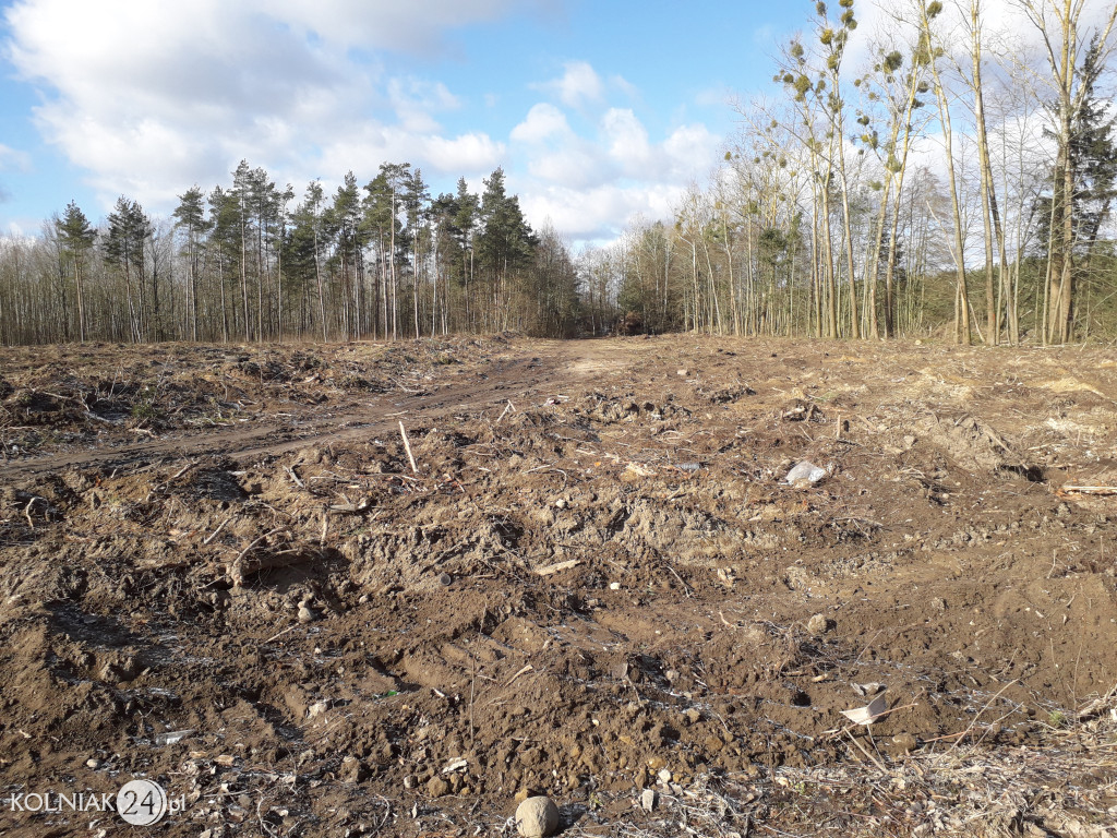 Kolneńskie Wieszałki