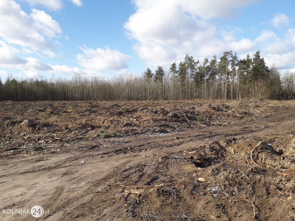 Kolneńskie Wieszałki
