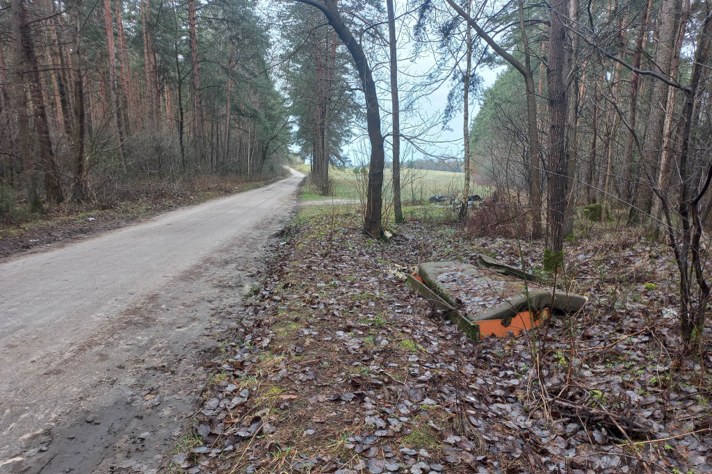 Nie śmieć w lasach i przy drogach