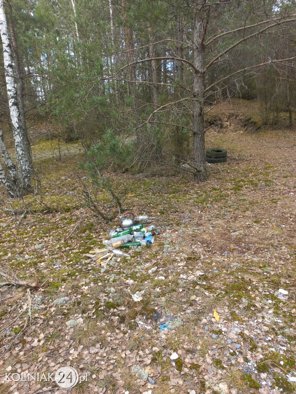 Nie śmieć w lasach i przy drogach