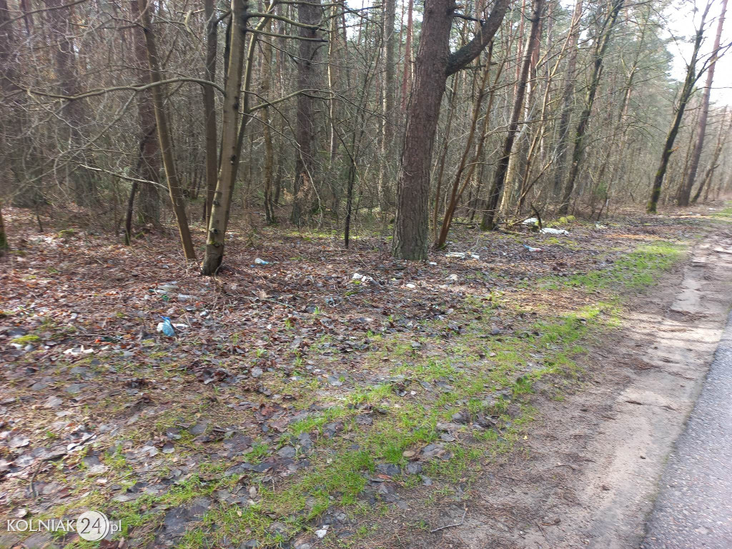 Nie śmieć w lasach i przy drogach