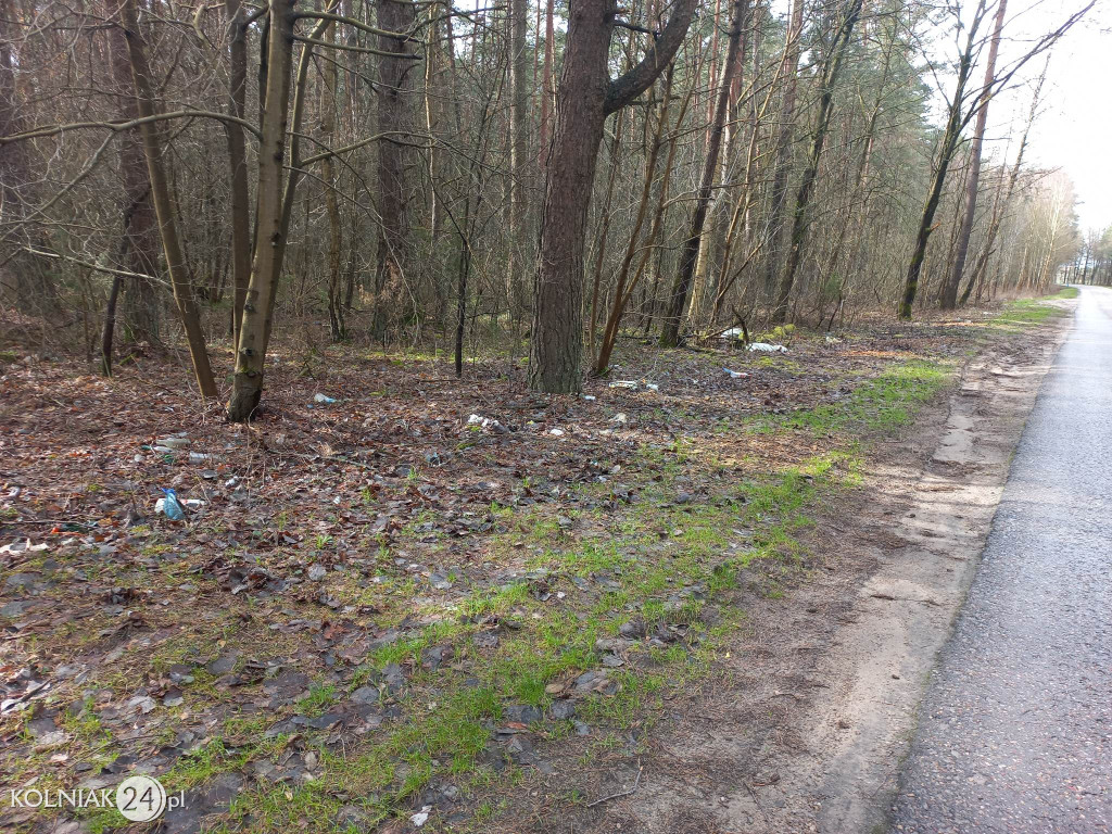 Nie śmieć w lasach i przy drogach