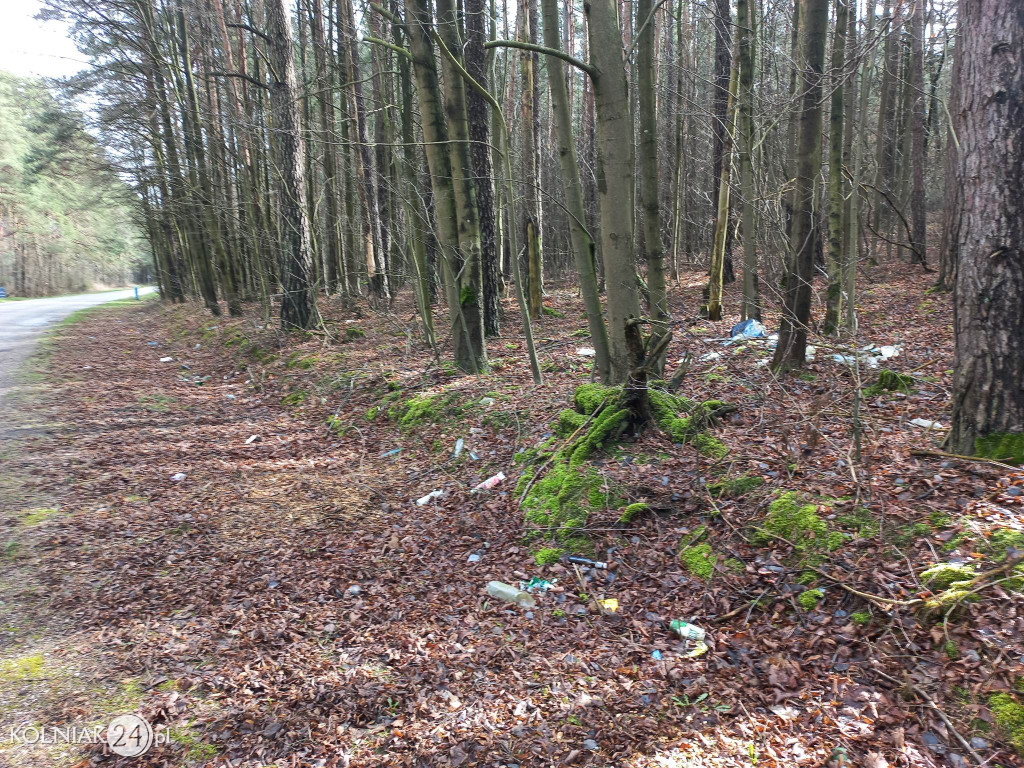 Nie śmieć w lasach i przy drogach
