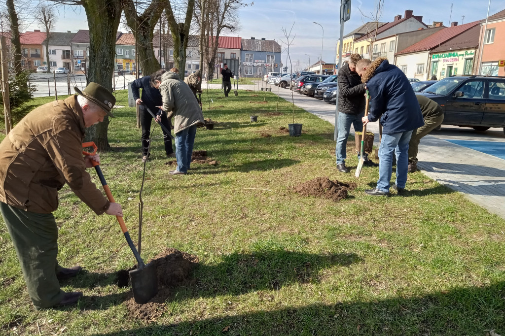 Nowa zieleń w Kolnie