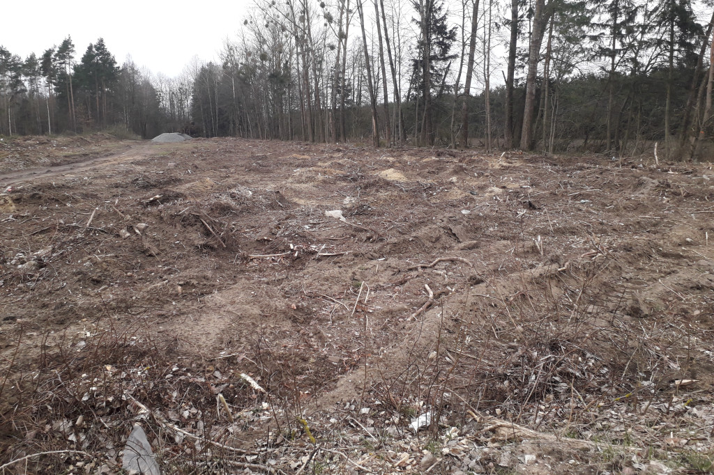 Kolneńskie Wieszałki (kwiecień 2023r.)