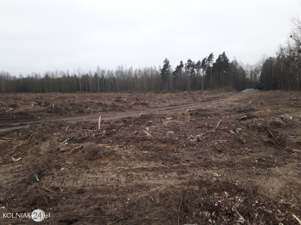 Kolneńskie Wieszałki (kwiecień 2023r.)