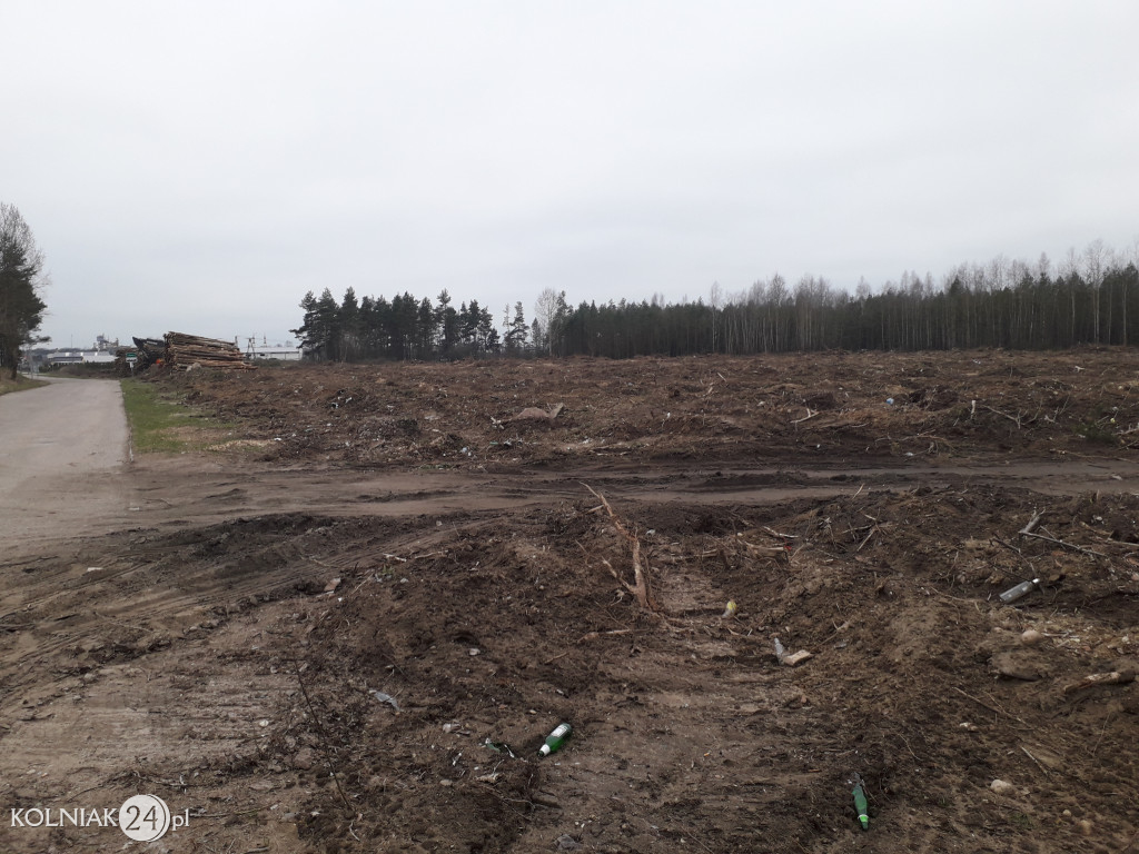 Kolneńskie Wieszałki (kwiecień 2023r.)