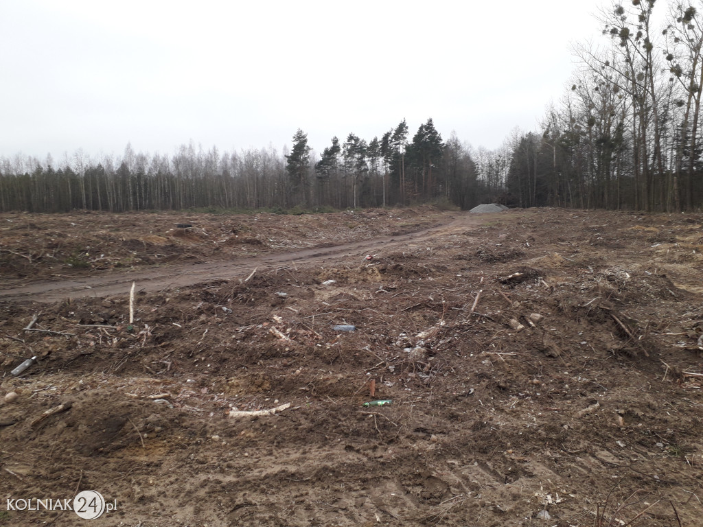 Kolneńskie Wieszałki (kwiecień 2023r.)
