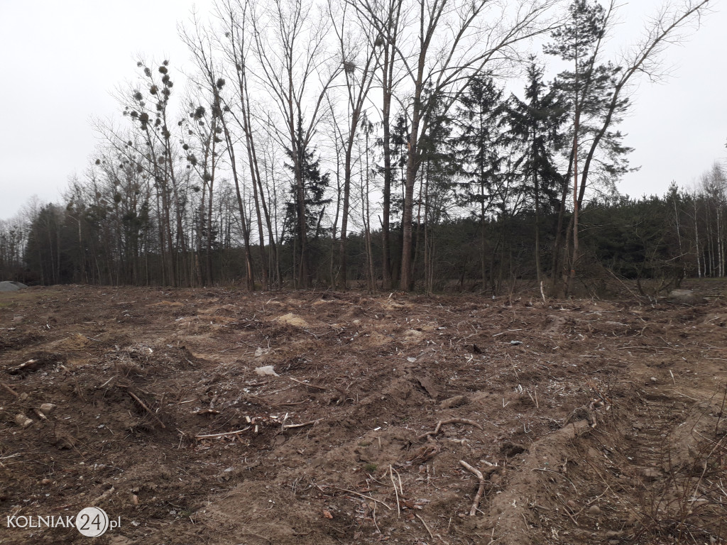 Kolneńskie Wieszałki (kwiecień 2023r.)