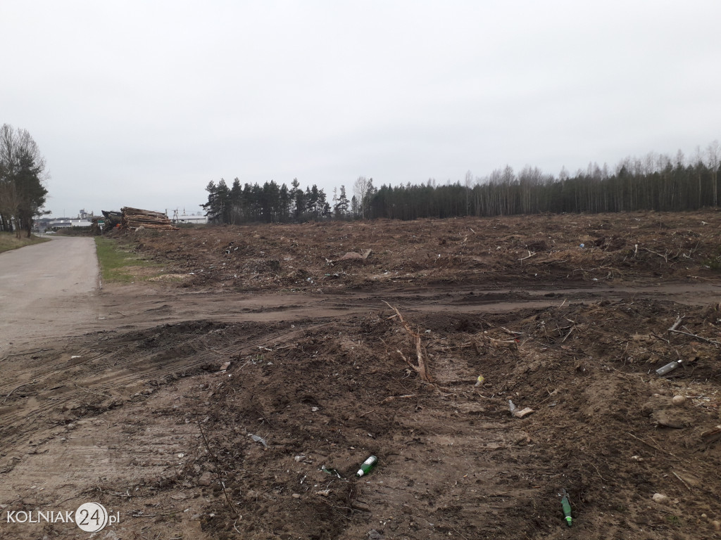 Kolneńskie Wieszałki (kwiecień 2023r.)