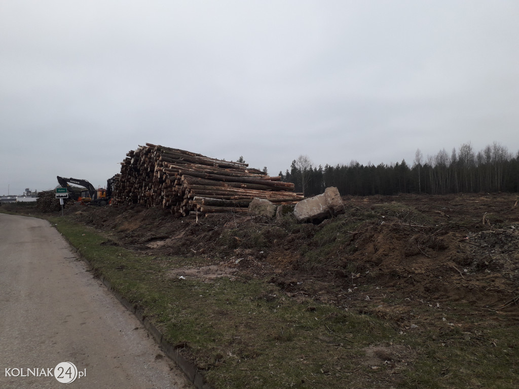 Kolneńskie Wieszałki (kwiecień 2023r.)