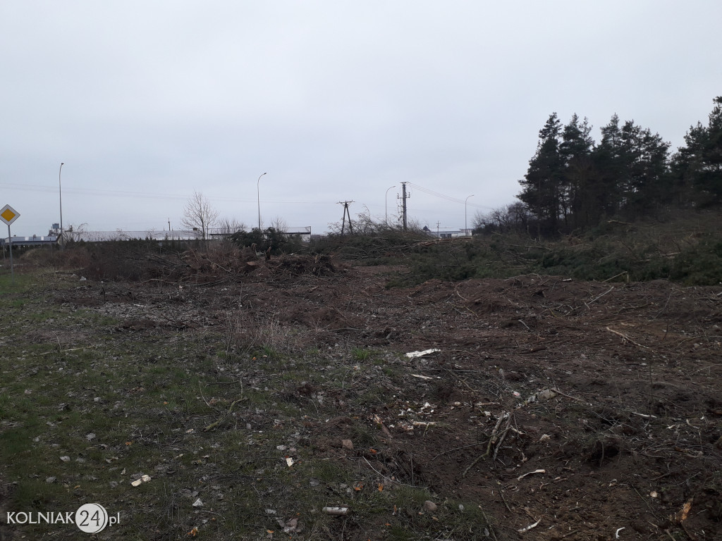 Kolneńskie Wieszałki (kwiecień 2023r.)