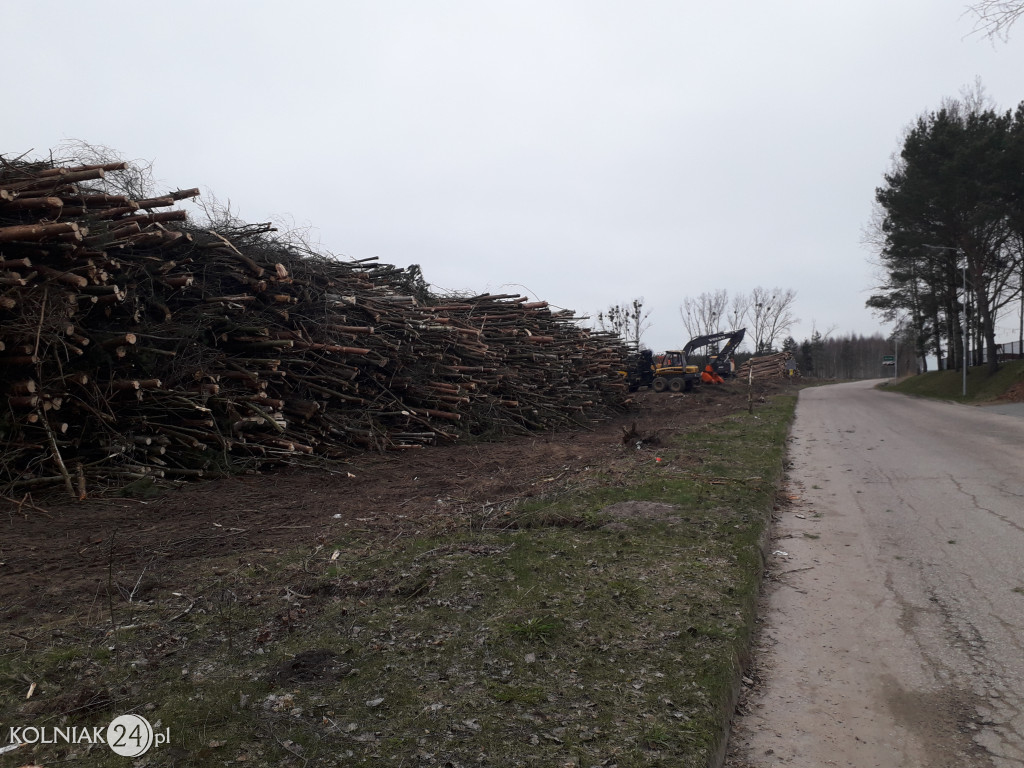 Kolneńskie Wieszałki (kwiecień 2023r.)