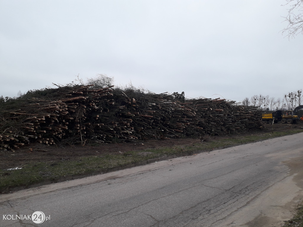 Kolneńskie Wieszałki (kwiecień 2023r.)