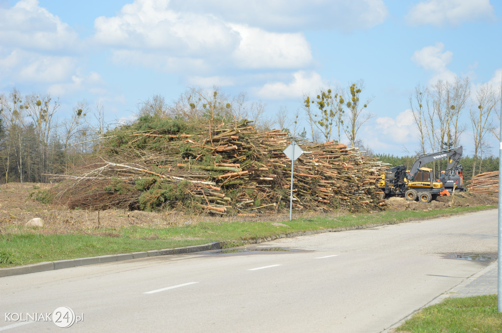 Kolneńskie Wieszałki (kwiecień 2023r.)