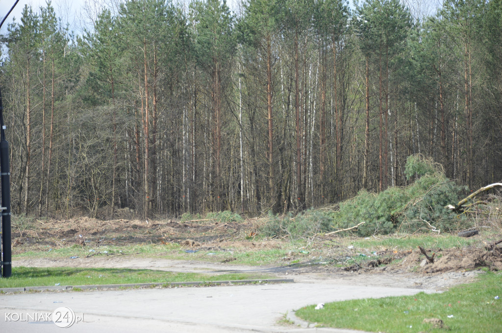 Kolneńskie Wieszałki (kwiecień 2023r.)