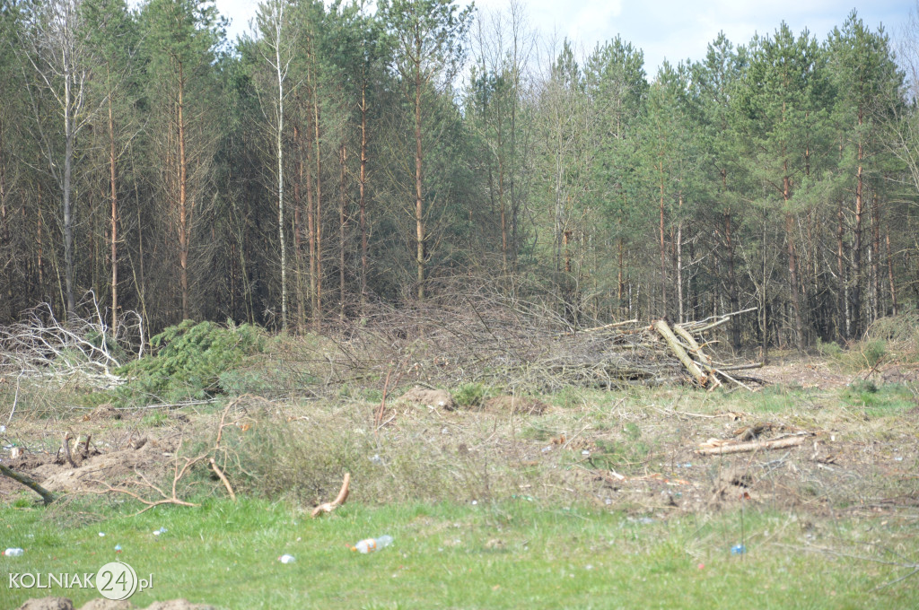 Kolneńskie Wieszałki (kwiecień 2023r.)