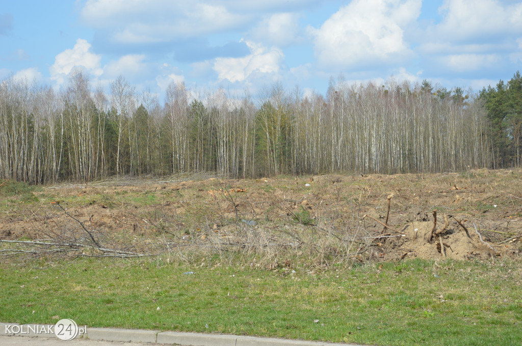 Kolneńskie Wieszałki (kwiecień 2023r.)