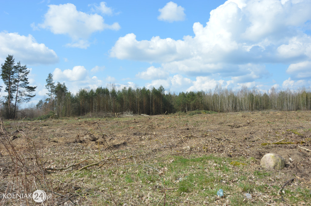 Kolneńskie Wieszałki (kwiecień 2023r.)