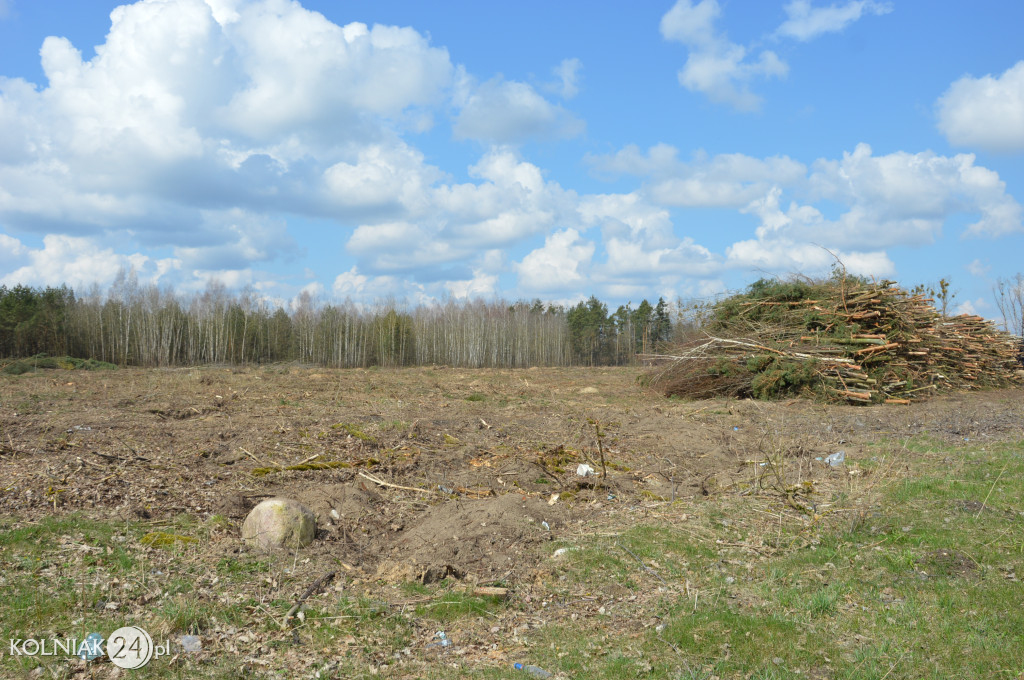 Kolneńskie Wieszałki (kwiecień 2023r.)
