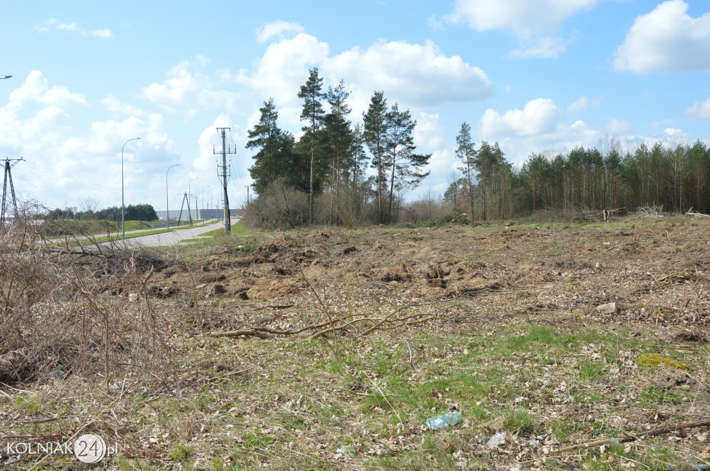 Kolneńskie Wieszałki (kwiecień 2023r.)