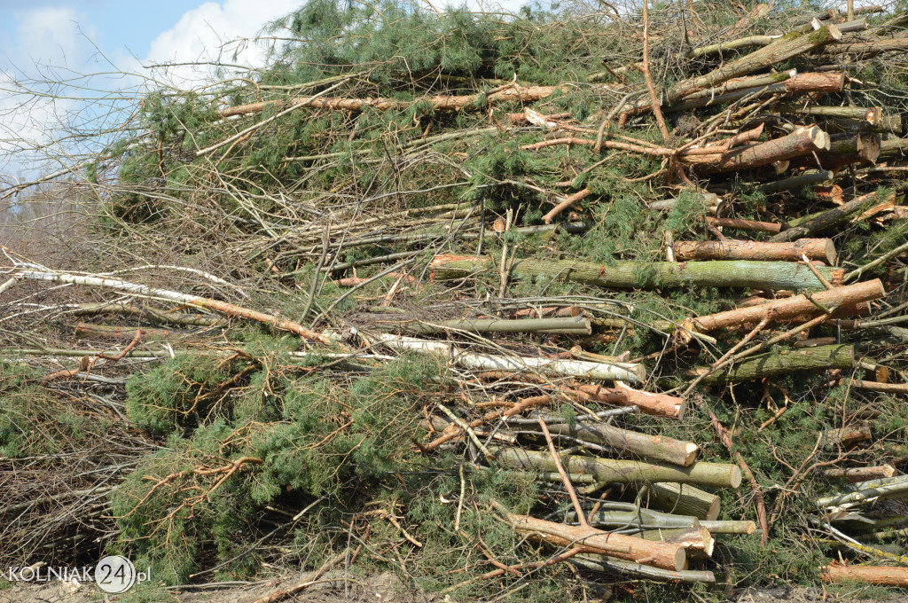 Kolneńskie Wieszałki (kwiecień 2023r.)