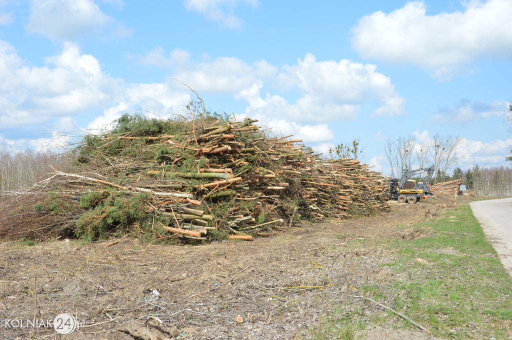 Kolneńskie Wieszałki (kwiecień 2023r.)