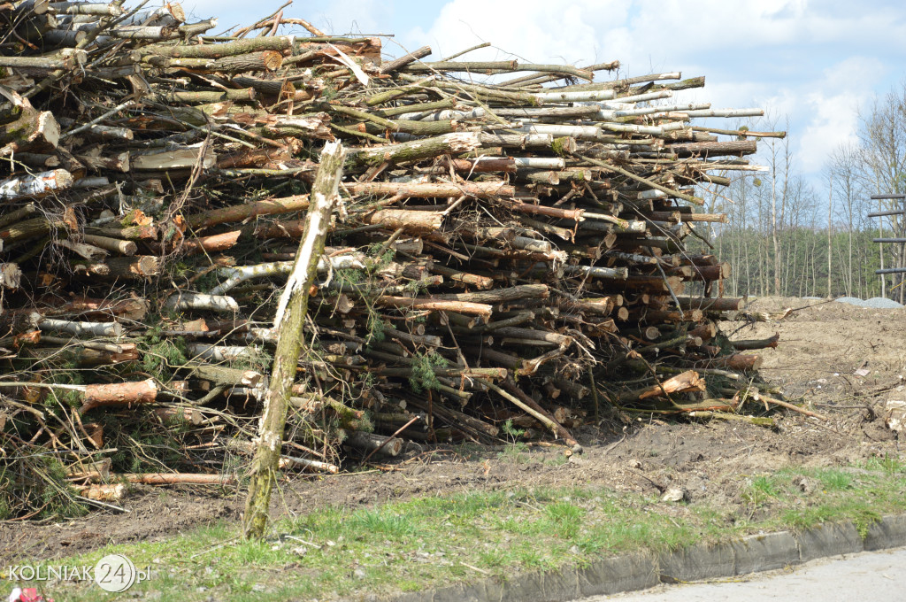 Kolneńskie Wieszałki (kwiecień 2023r.)