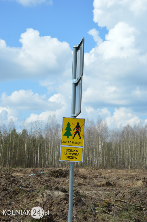 Kolneńskie Wieszałki (kwiecień 2023r.)