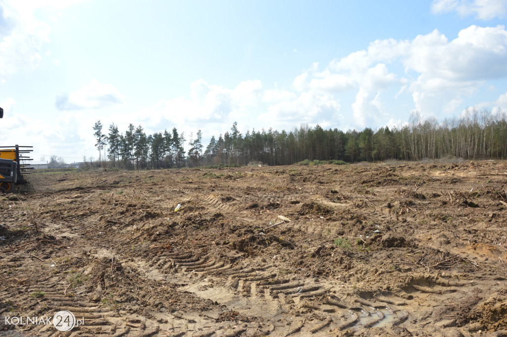 Kolneńskie Wieszałki (kwiecień 2023r.)