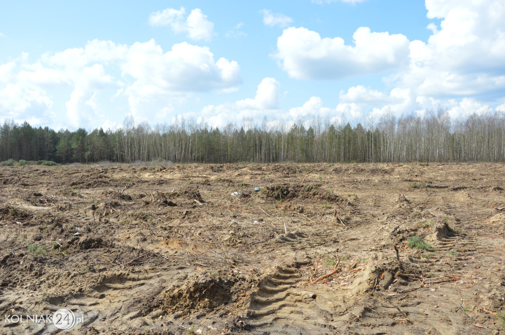 Kolneńskie Wieszałki (kwiecień 2023r.)