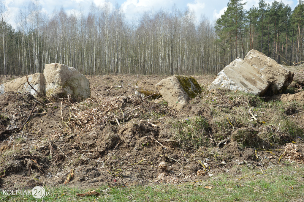 Kolneńskie Wieszałki (kwiecień 2023r.)