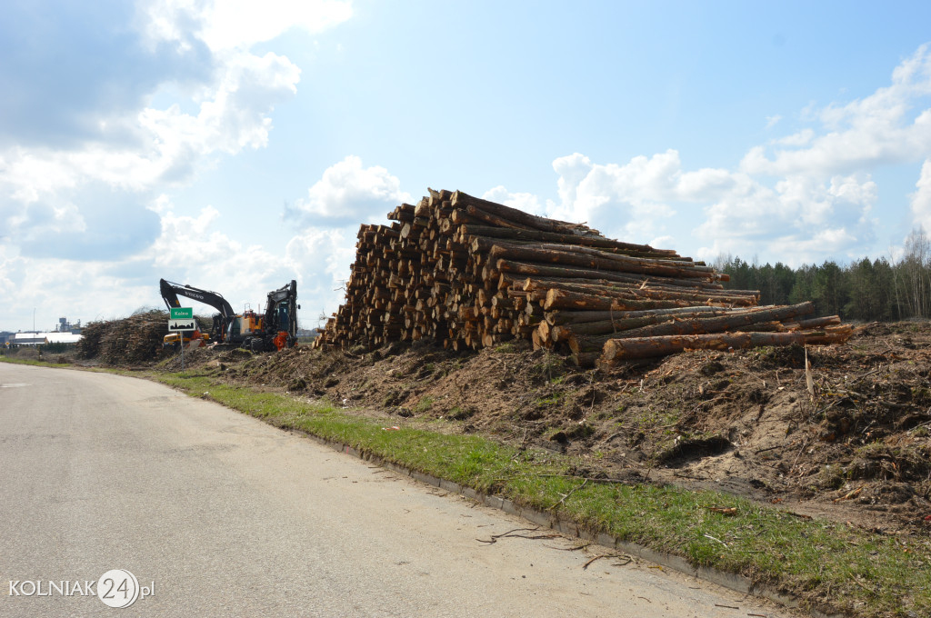 Kolneńskie Wieszałki (kwiecień 2023r.)