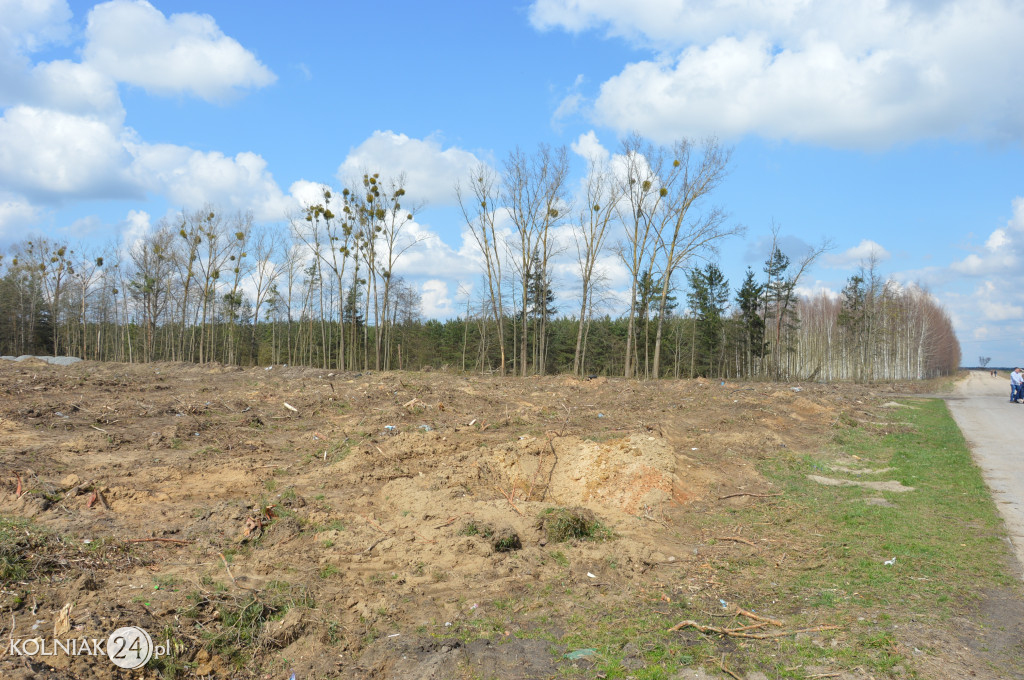 Kolneńskie Wieszałki (kwiecień 2023r.)