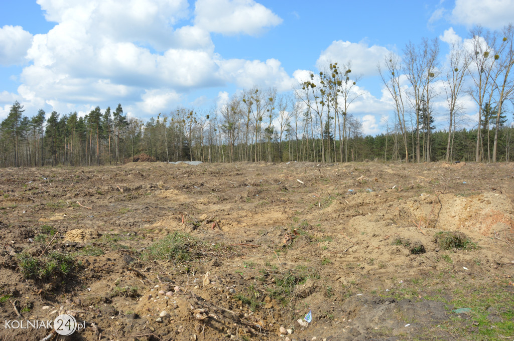 Kolneńskie Wieszałki (kwiecień 2023r.)