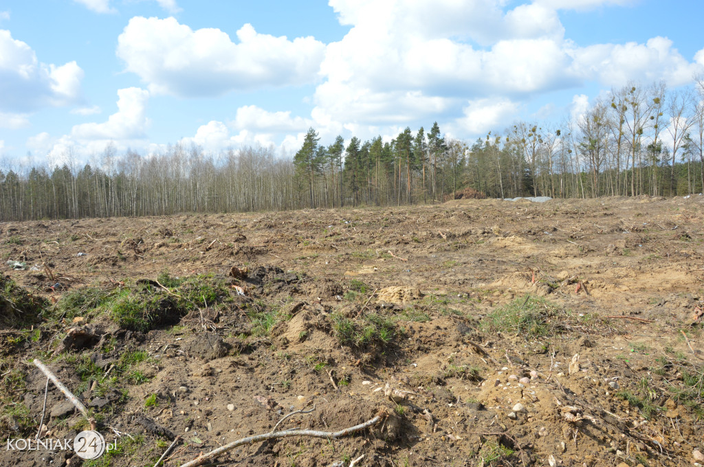 Kolneńskie Wieszałki (kwiecień 2023r.)
