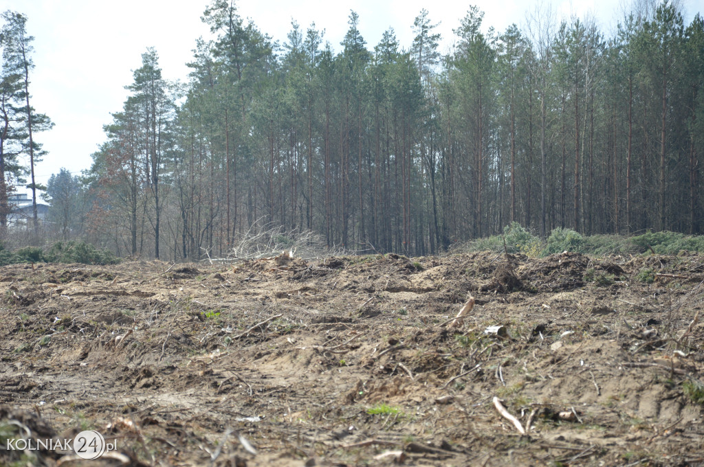 Kolneńskie Wieszałki (kwiecień 2023r.)