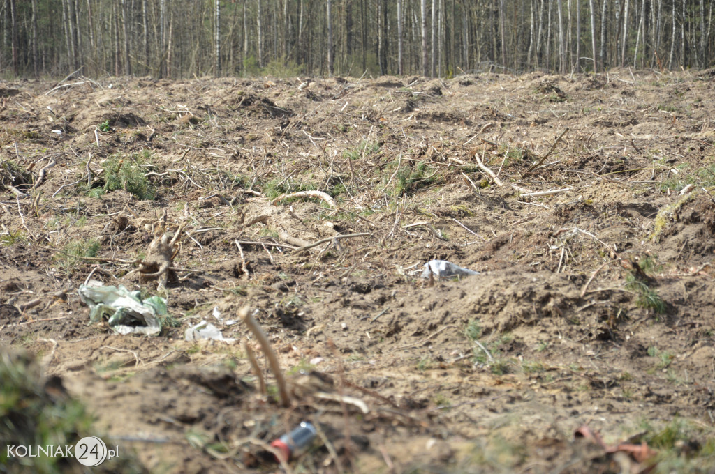 Kolneńskie Wieszałki (kwiecień 2023r.)