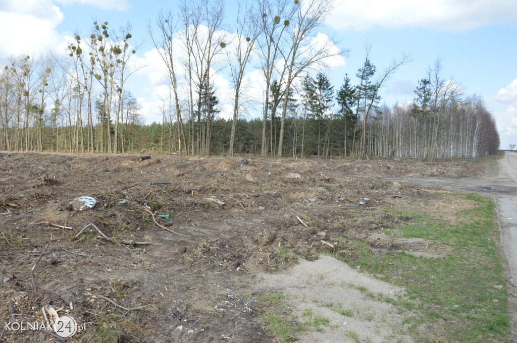 Kolneńskie Wieszałki (kwiecień 2023r.)