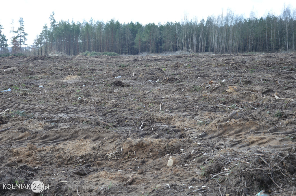 Kolneńskie Wieszałki (kwiecień 2023r.)