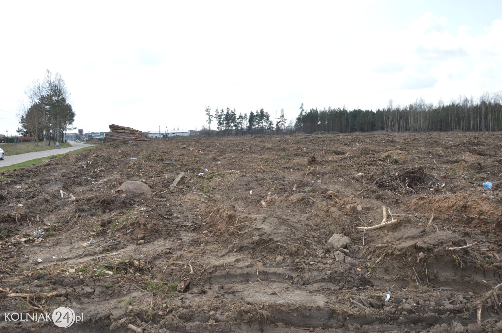Kolneńskie Wieszałki (kwiecień 2023r.)